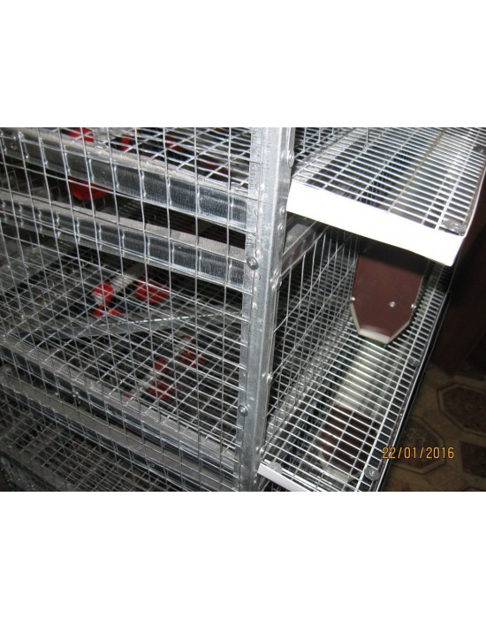 One-Tier Quail Cage