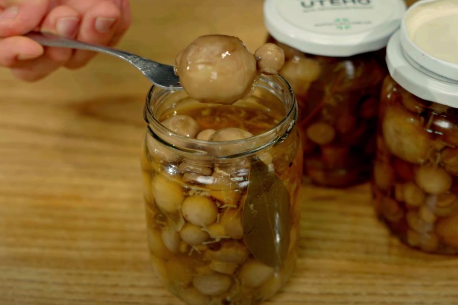 Дегустуємо баклажани