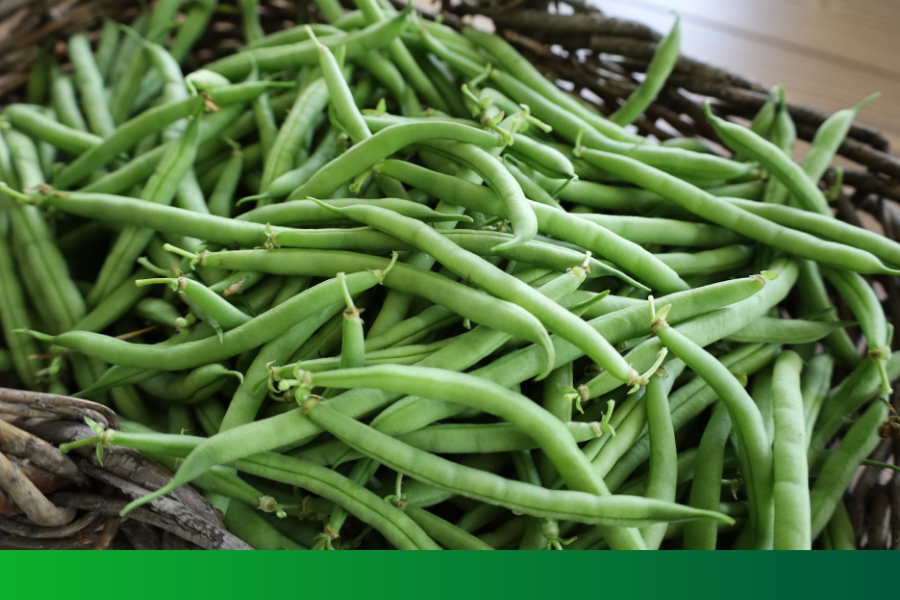 Green beans